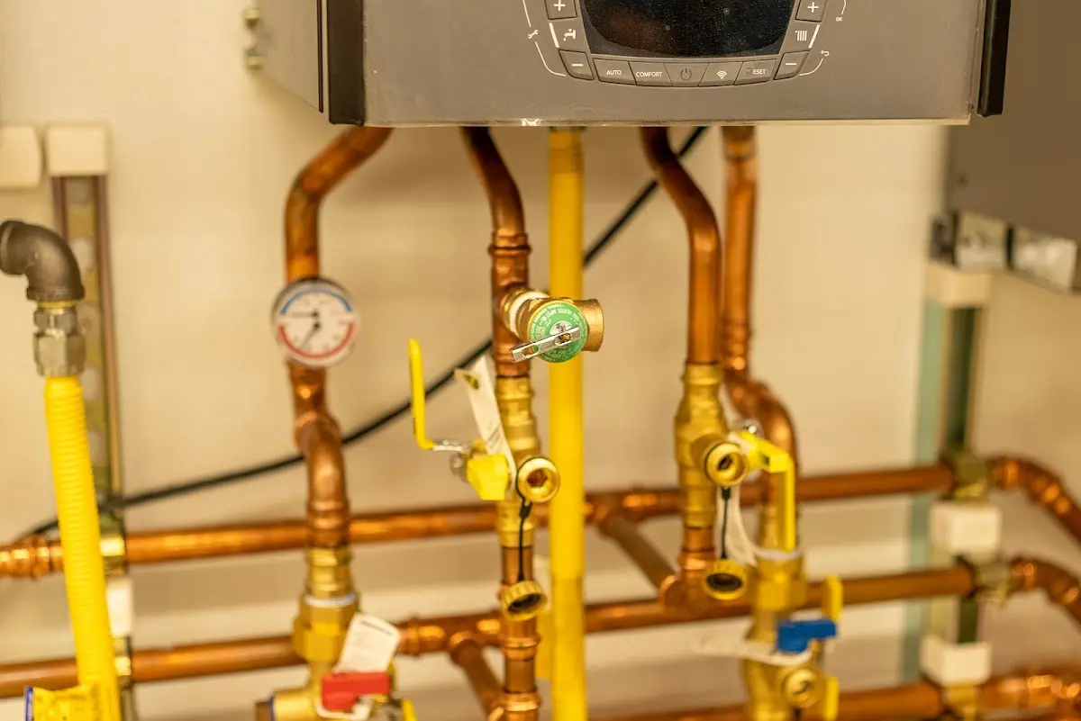 Licensed technician providing Sump Pump Repair for a homeowner in North Dansville